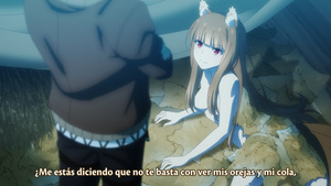 Spice and Wolf: MERCHANT MEETS THE WISE WOLF